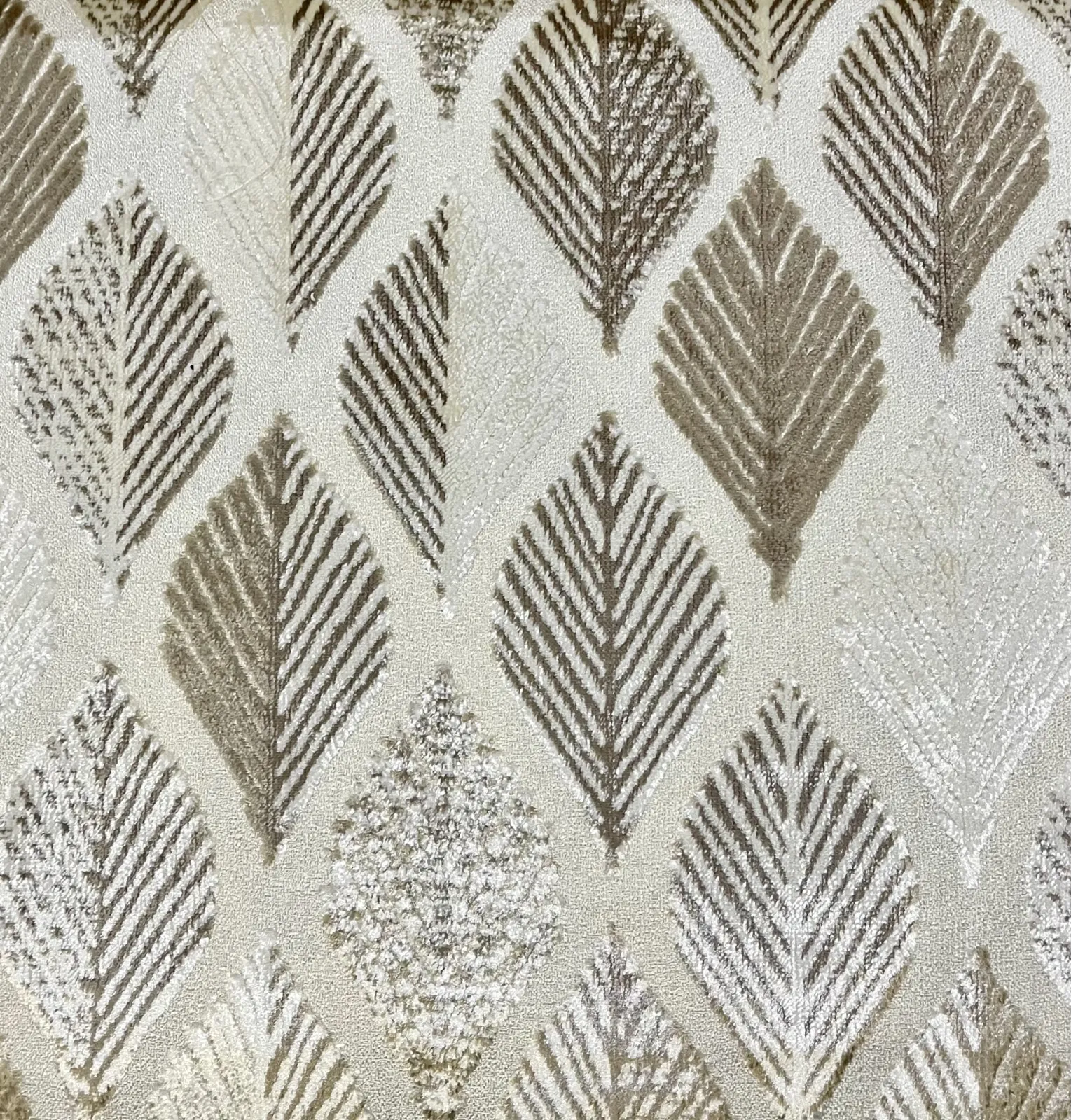 النورس قطيفه -C-2