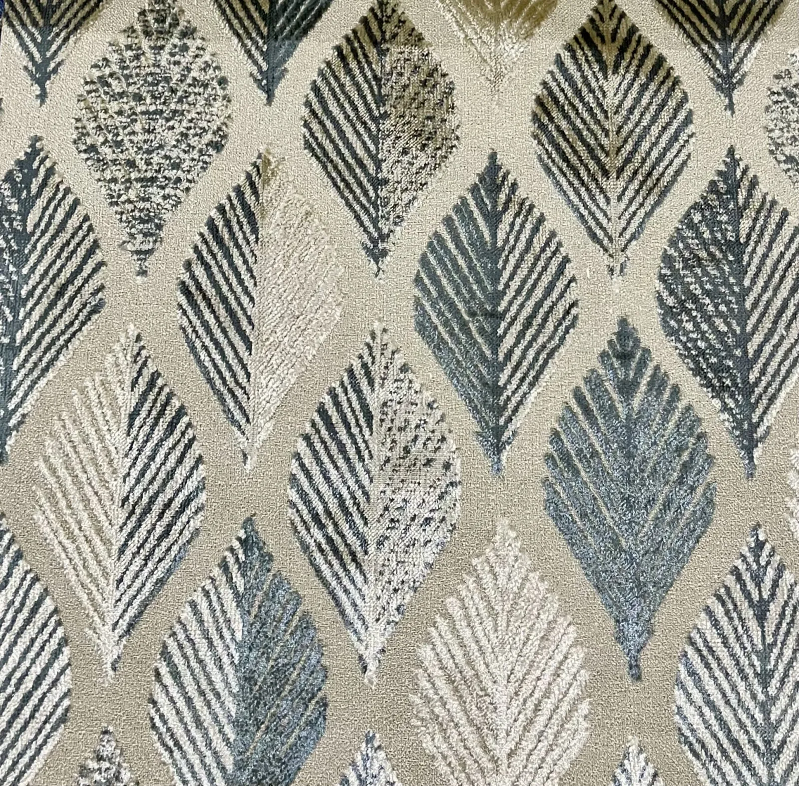 النورس قطيفه -C-5