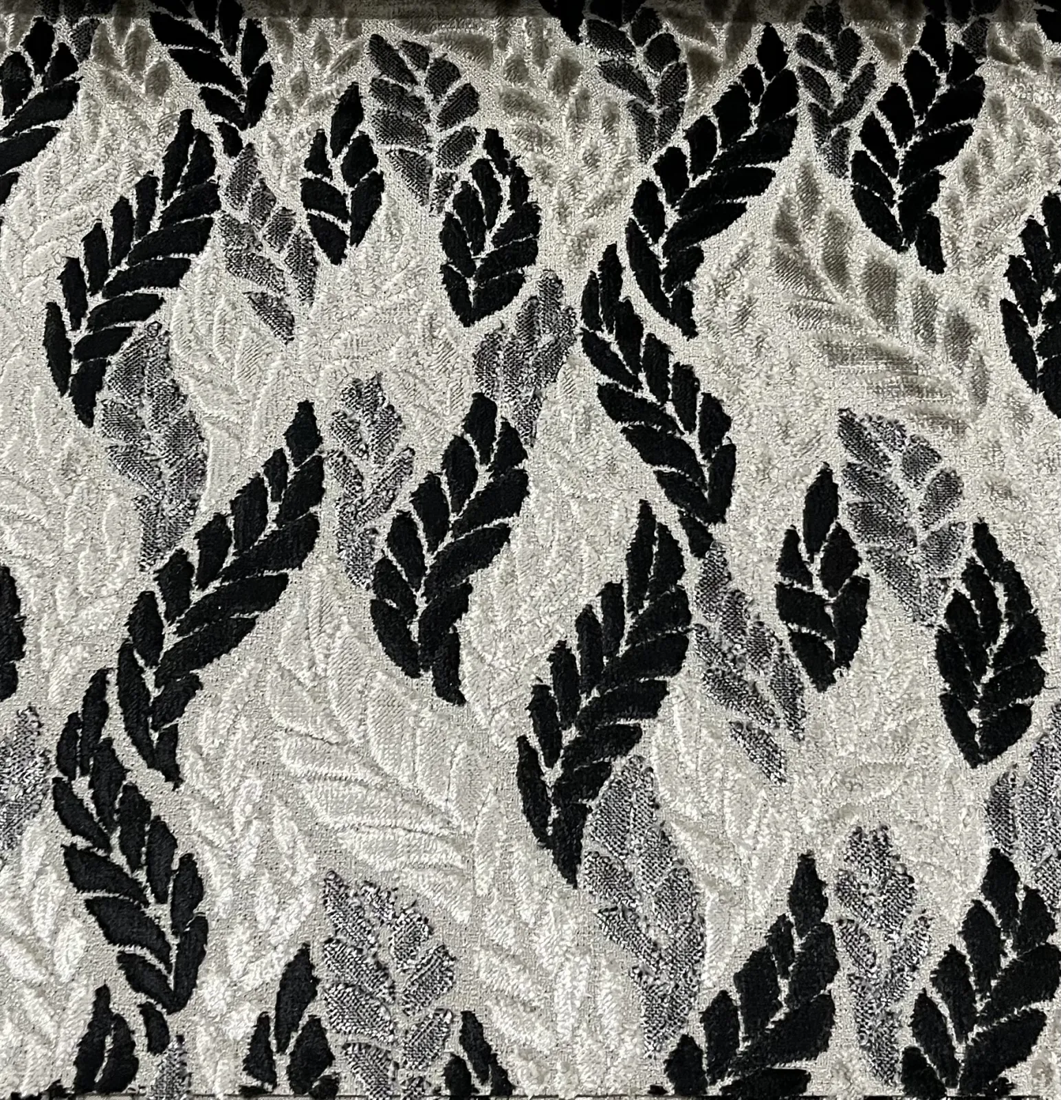 النورس قطيفه -D-6