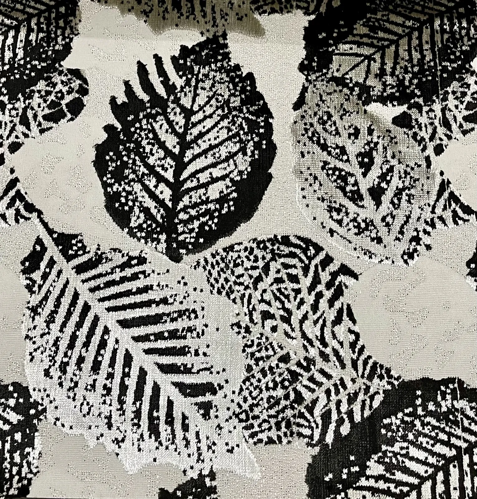 النورس قطيفه -E-6