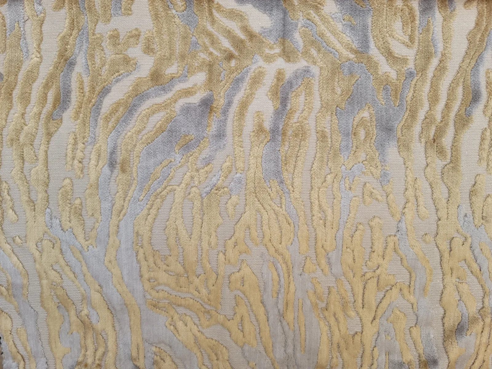 بيور قطيفه -1(19)