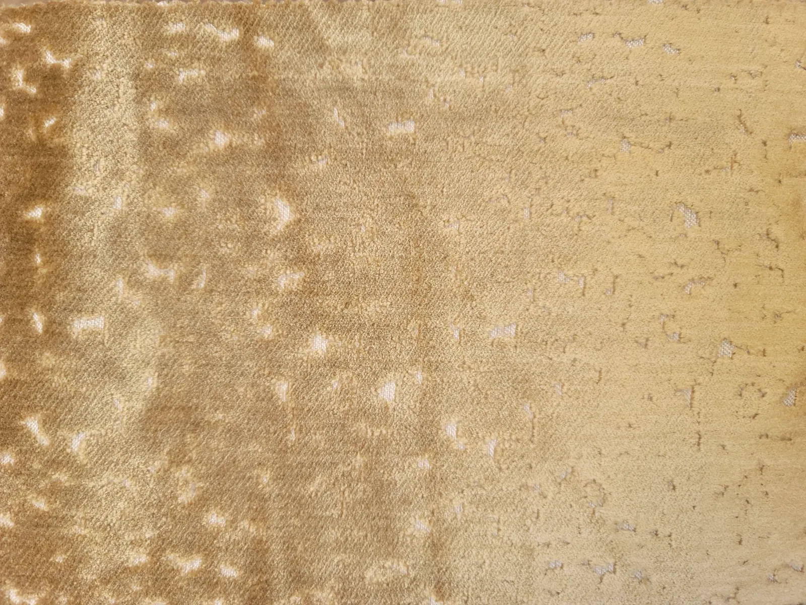 بيور قطيفه -1(21)