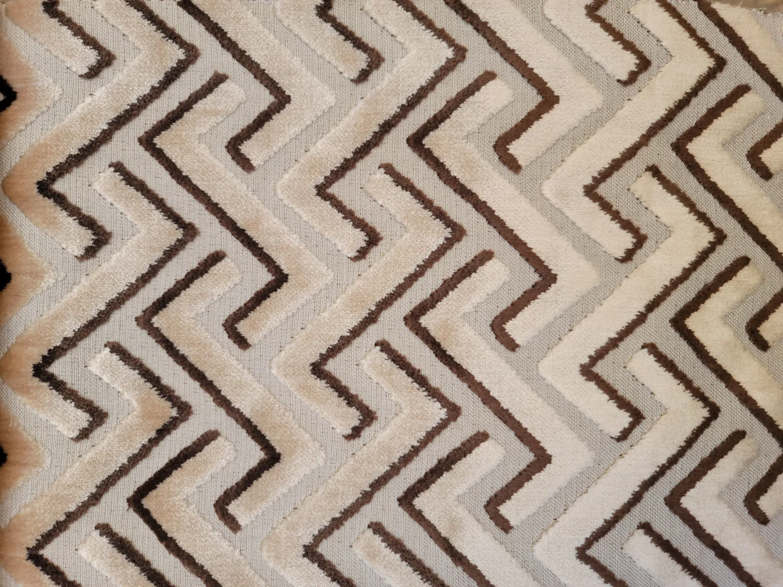 بيور قطيفه -2(18)