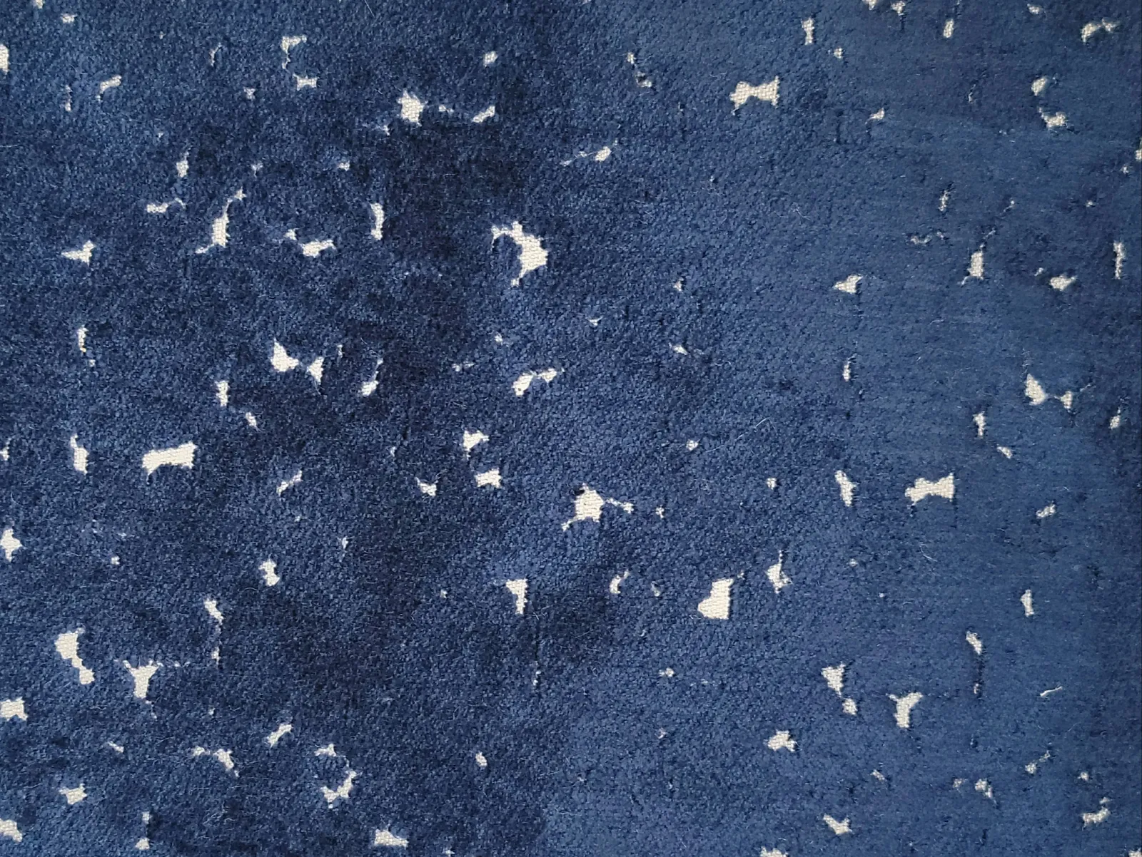 بيور قطيفه -3(18) 