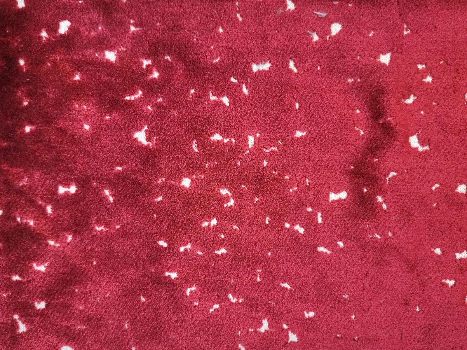 بيور قطيفه -5(18)