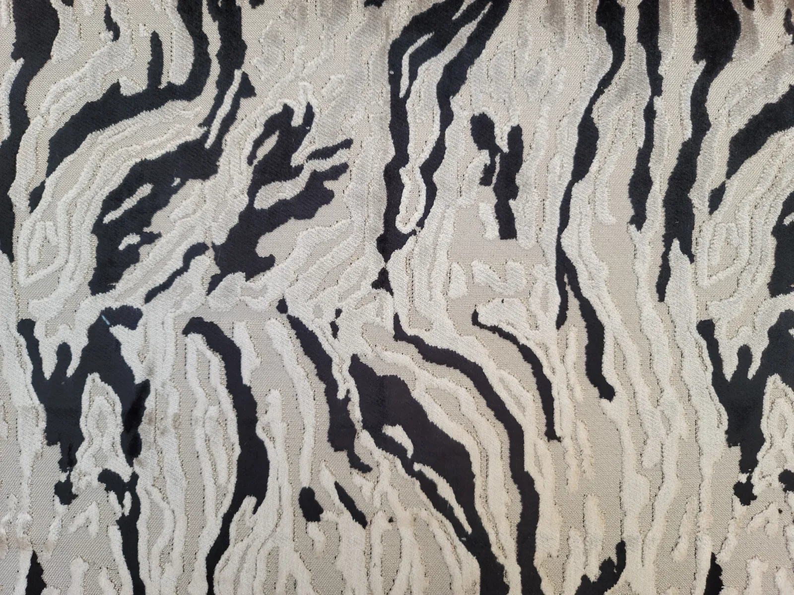 بيور قطيفه -6(19)