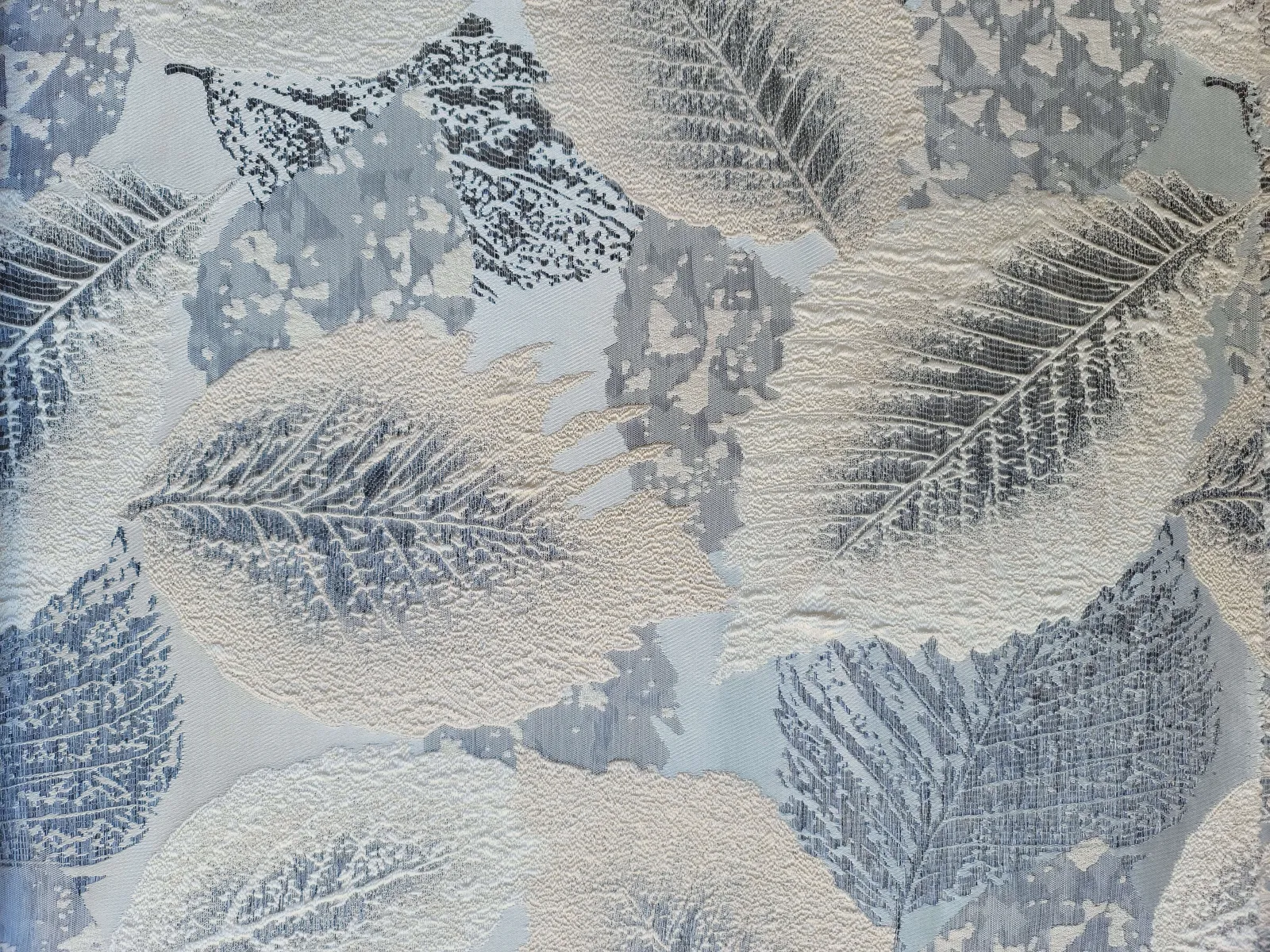 جاكار فلورياء-B-3