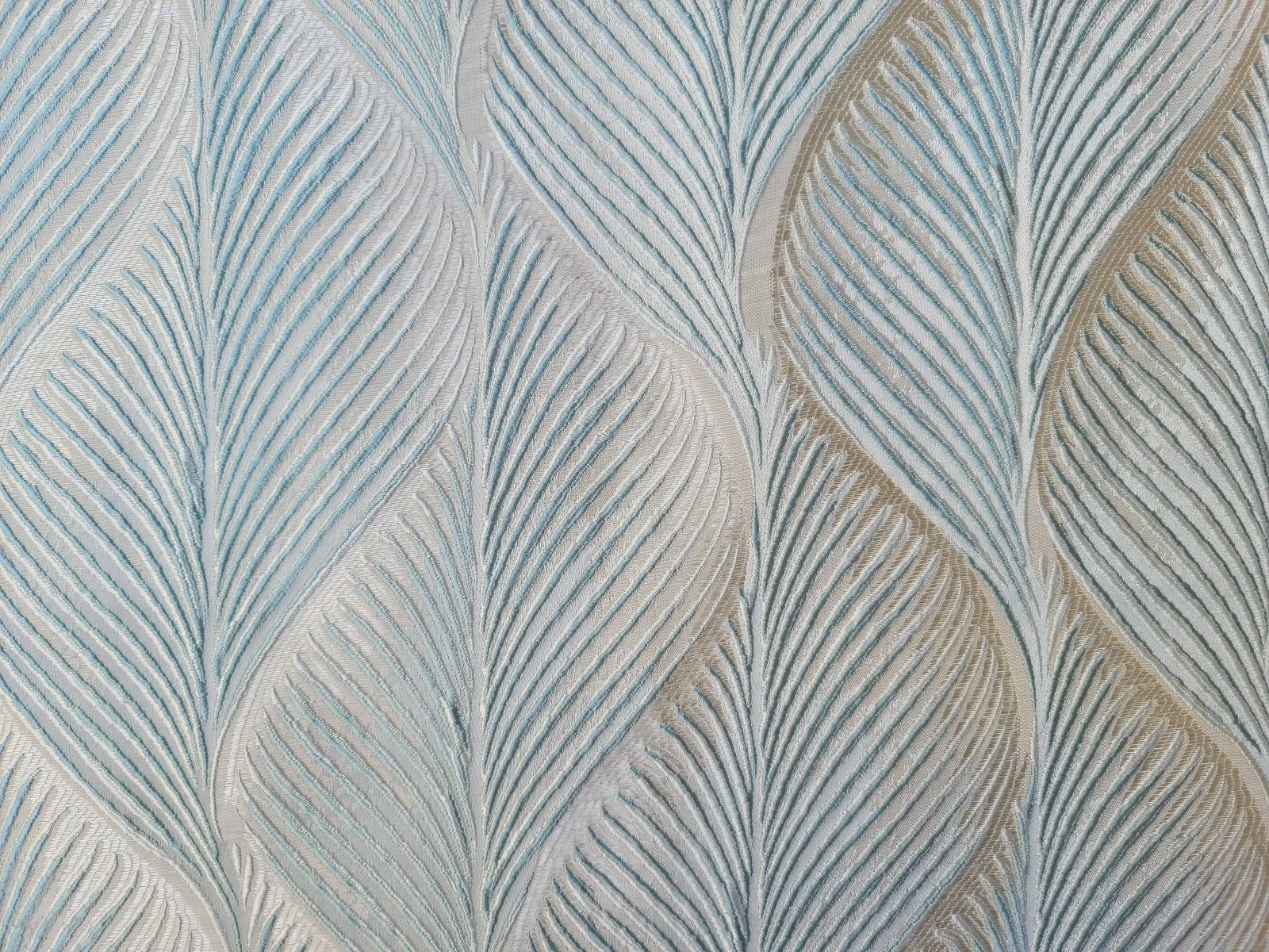 جاكار فلورياء-C-1