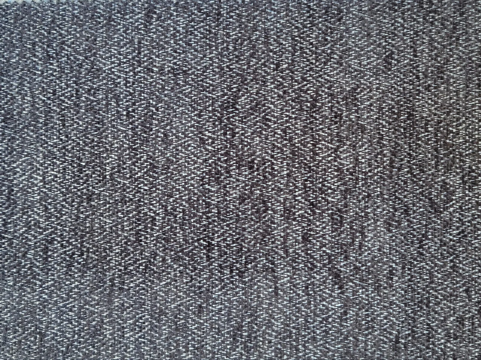 جاكار فلورياء-F-3