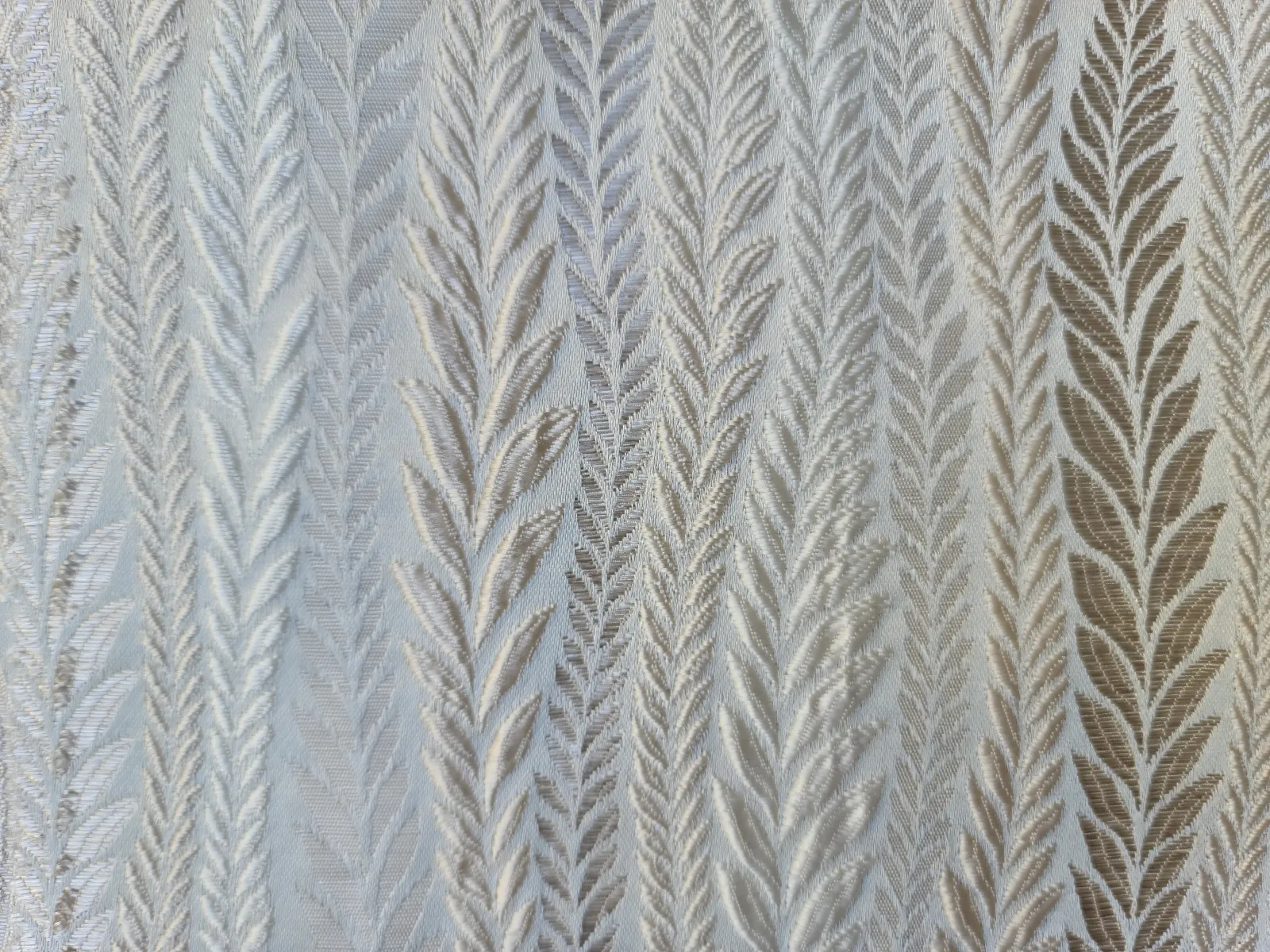 جاكار فلورياء-I-2