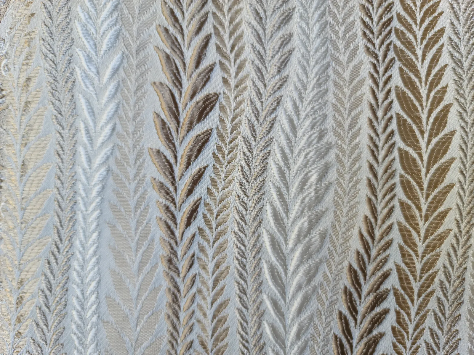 جاكار فلورياء-I-4